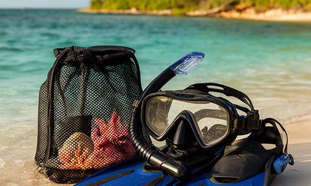 Snorkel mask, fins, and mesh gear bag ready for Peanut Island water